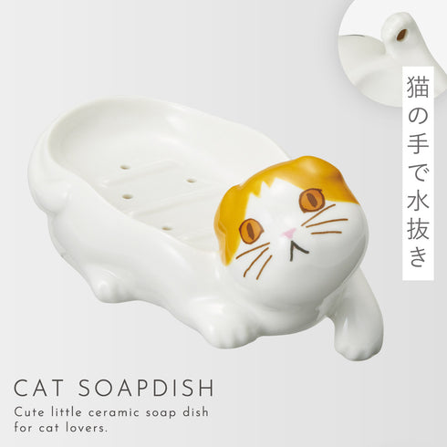 ソープディッシュ(猫)